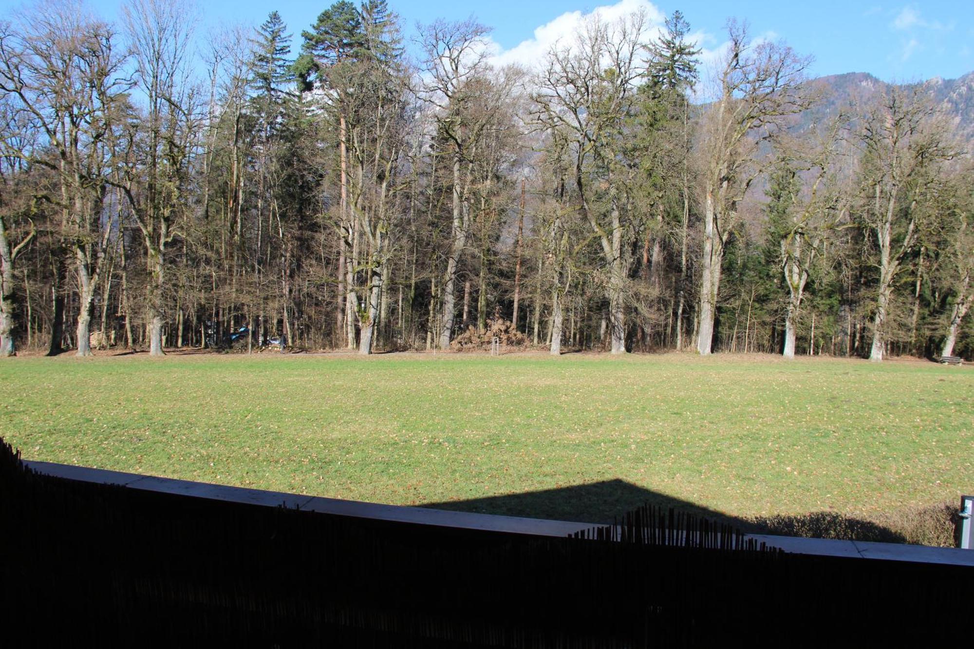 Apartment Relax Bayerisch Gmain